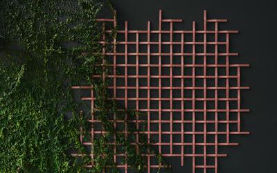 Mutina Description Image