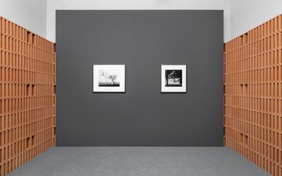 Mutina Description Image